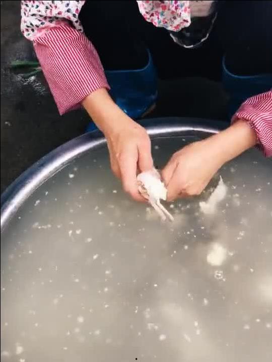 成人屎怎么清洗干净视频,专业视频教程解析