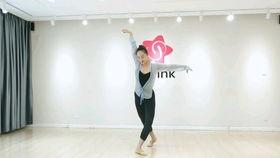 成人美姿舞蹈视频大全教学,跟随成人美姿舞蹈视频大全，轻松入门舞林风采