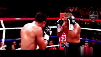 成人的拳击教学视频,成人实战技巧解析