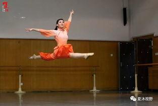 军事舞蹈成人简单视频,成人简单视频教程解析