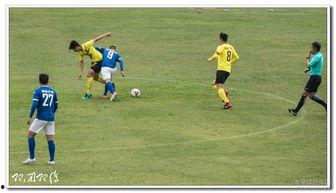 成人足球热身动作视频大全,从入门到精通