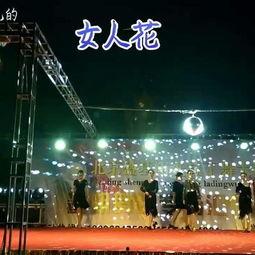 摩登舞成人组合视频,优雅舞步中的情感共鸣与默契演绎