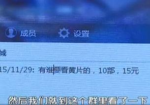 成人视频网站在线播放观看视频,在线观看体验全解析