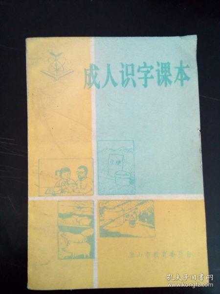 成人识字教材视频大全,轻松掌握基础汉字与阅读技巧