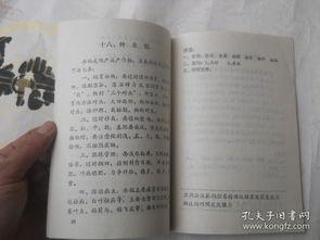 成人识字教材视频大全,轻松掌握基础汉字与阅读技巧