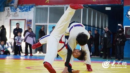 盐山成人摔跤事件视频,一场意外引发的争议与反思