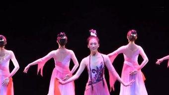 鱼儿群舞成人舞蹈视频,成人舞蹈演绎自然和谐之美