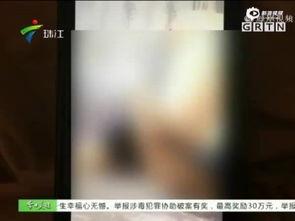 成人削发器直播视频大全,全网热门成人削发器直播视频大盘点