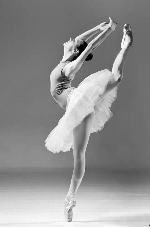 领舞成人拉丁舞视频,领舞成人拉丁舞风采展示