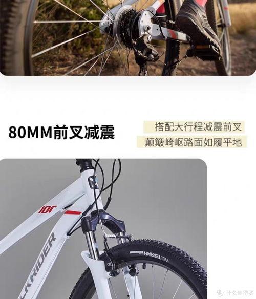 越野单车成人版视频,越野单车成人版视频深度解析