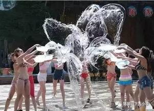 成人爽视频shui,探索成人爽视频“水”的奥秘与魅力