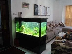 成人养鱼视频大全播放