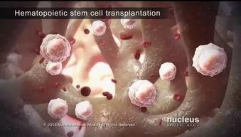 成人灌肠疗法视频大全,全面解析与实操指南