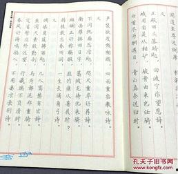 小楷成人练字视频,轻松入门，提升书法艺术修养