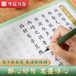 小楷成人练字视频,轻松入门，提升书法艺术修养