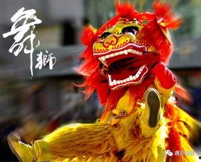 成人舞狮道具全套视频大全,视频大全带你领略传统技艺魅力