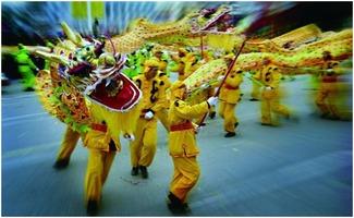 成人舞狮道具全套视频大全,视频大全带你领略传统技艺魅力