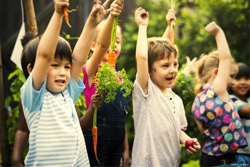 珠心算成人教学视频,成人教学视频深度解析