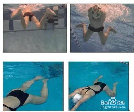 成人初学游泳视频