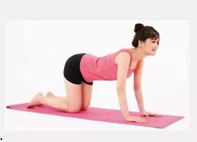 成人瘦身训练动作视频,跟随视频轻松打造完美身材