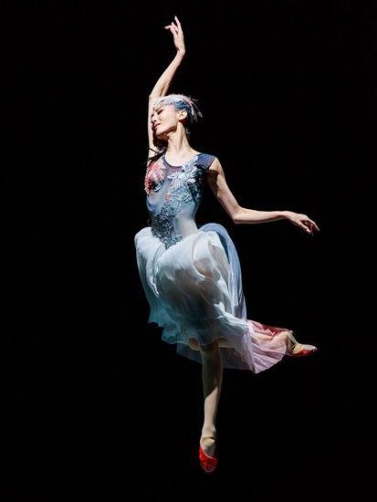 尚雅舞蹈成人舞视频,优雅舞步，释放自我魅力